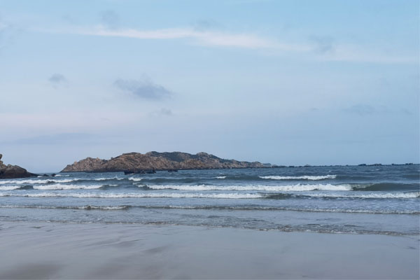 农业农村部专题研究远洋渔业工作