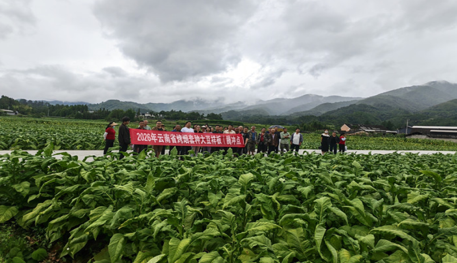 云南省农科院粮作所专家开展秋大豆绿色增产增效种植技术培训