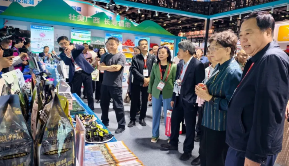 国资赋能南方黑芝麻，通过“五黑食养家“战略，打造中国黑色健康食品标杆企业