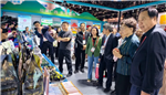 国资赋能南方黑芝麻，通过“五黑食养家“战略，打造中国黑色健康食品标杆企业