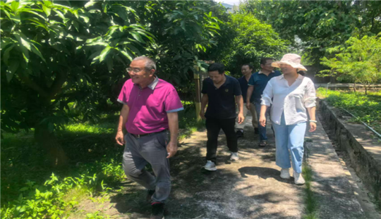 国家香蕉芒果产业技术体系芒果种质资源鉴定与新种质创制岗位专家高爱平研究员一行至云南农科院热经所交流指导