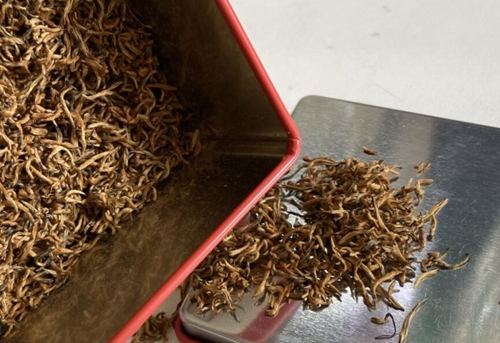 工业和信息化部等五部门关于印发《茶产业提质升级指导意见（2026—2030年）》的通知（工信部联消费﹝2026﹞14号）