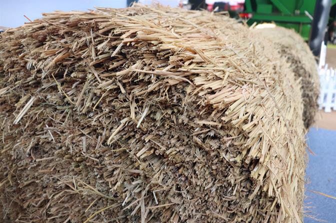 奶牛智慧牧场全程机械化养殖集成应用入选2025年智慧养殖全程机械化典型案例